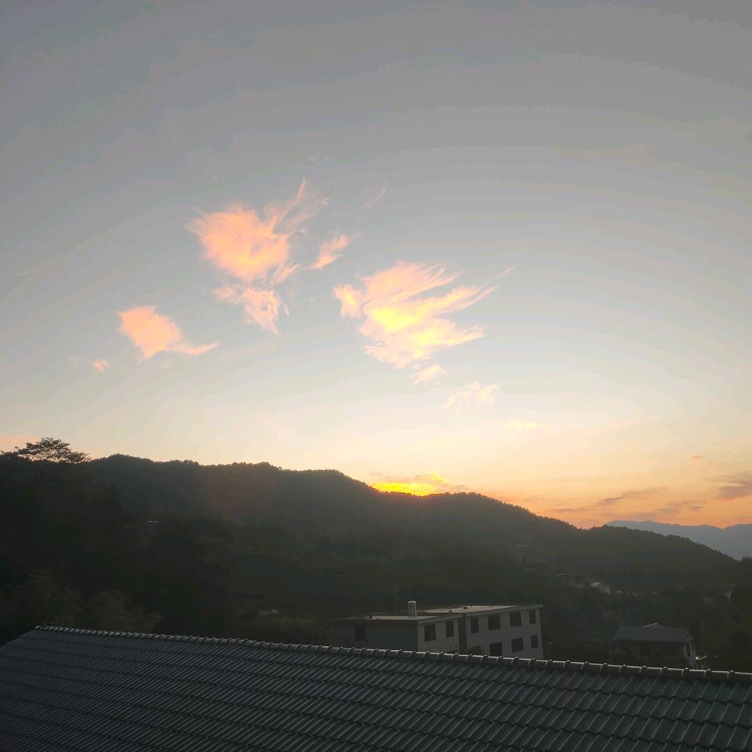 五腚