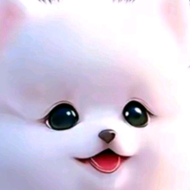 真实相伴