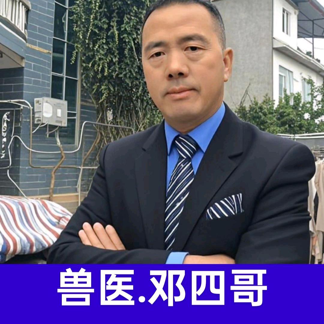 兽医师.手术.配牛剖腹产.收学徒