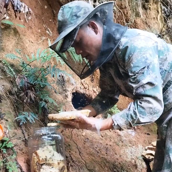 野生蜂蜜山里大叔