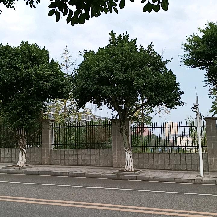 江一切看淡