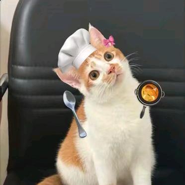 奶糖云朵酱