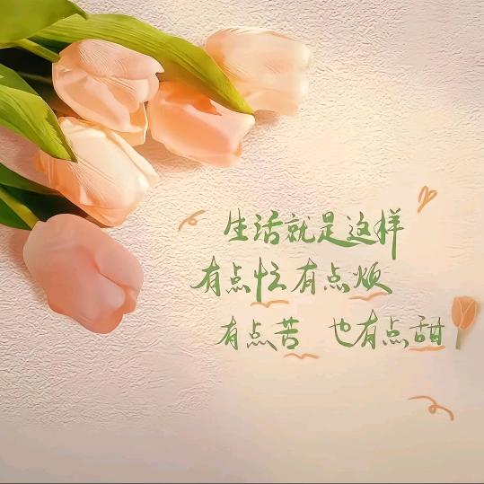 风一样的等待