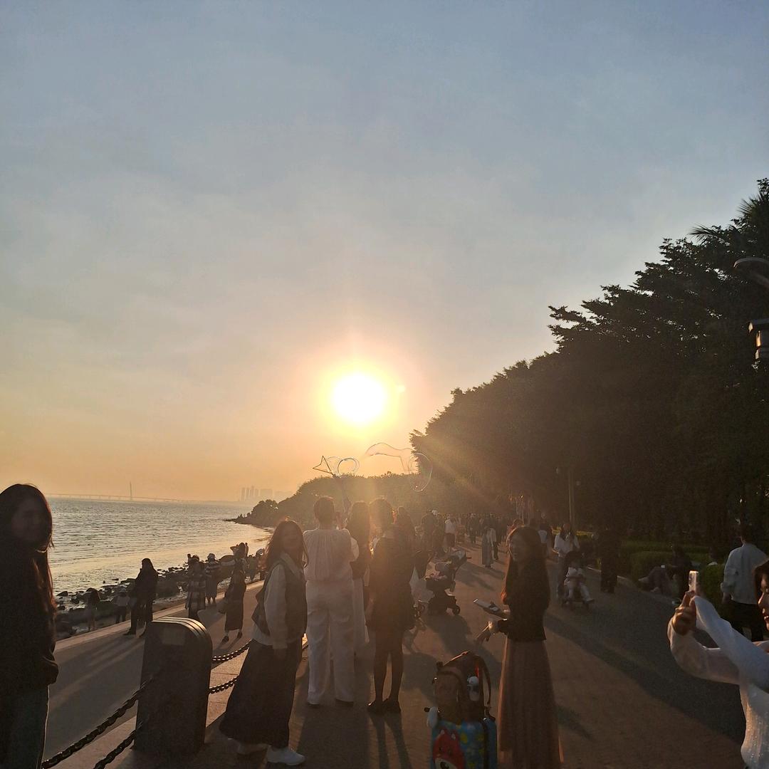 黑玫瑰🌹