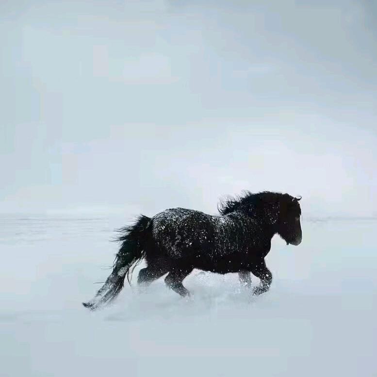 普华永道