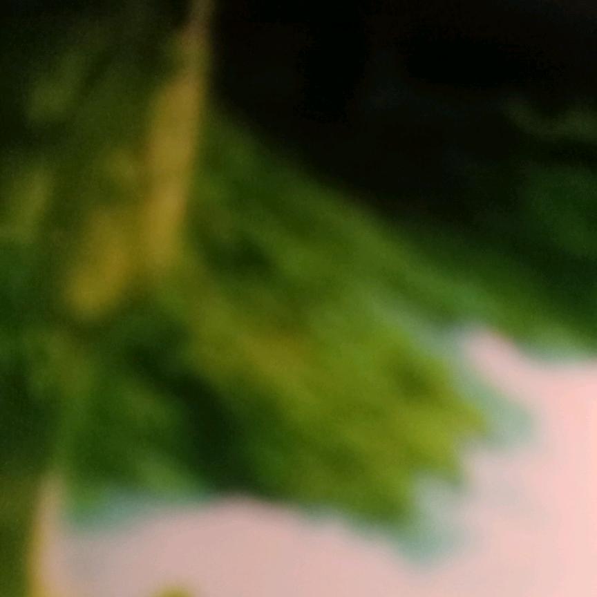幸福美满mmm