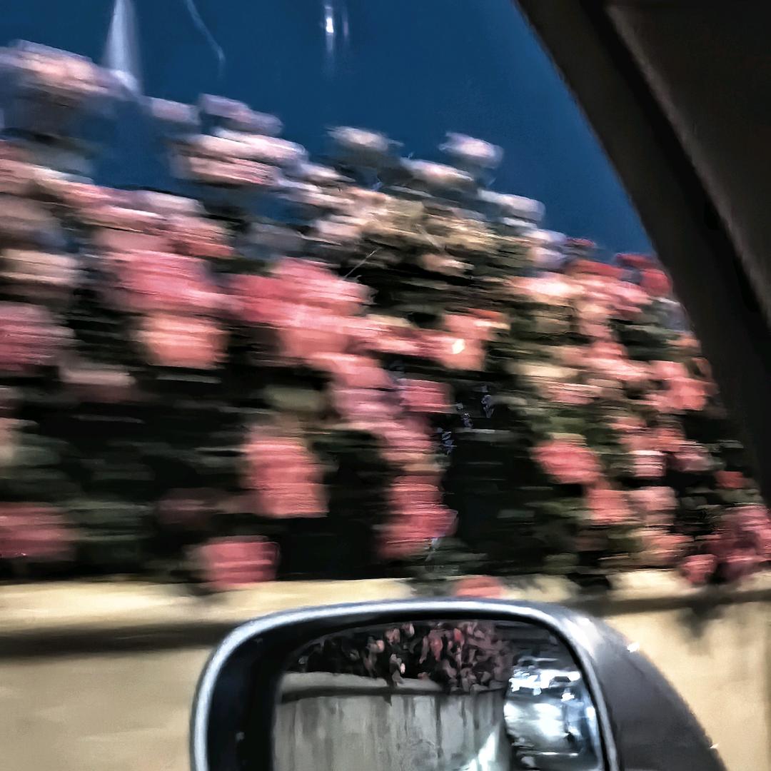 糖糖·