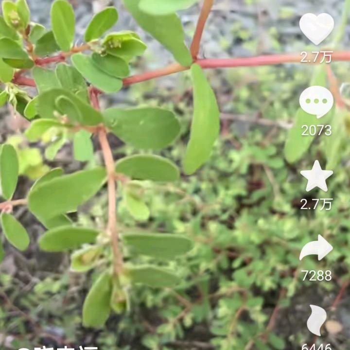 沉默