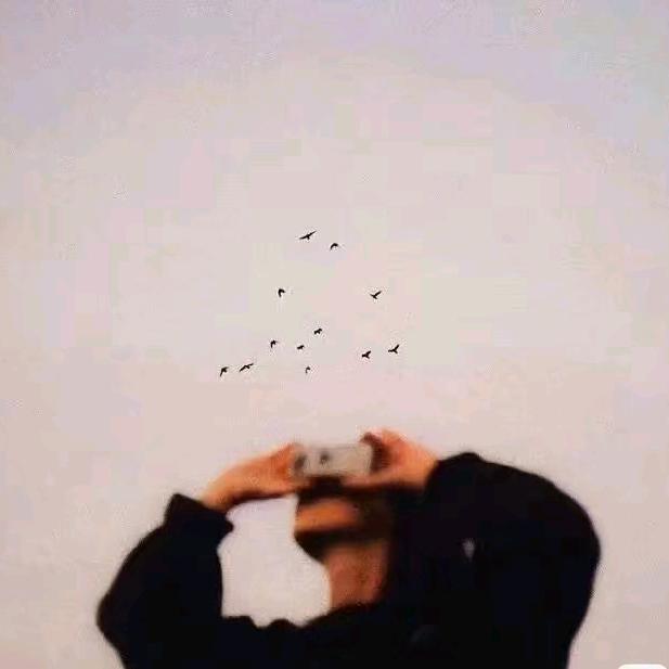 L    W    W