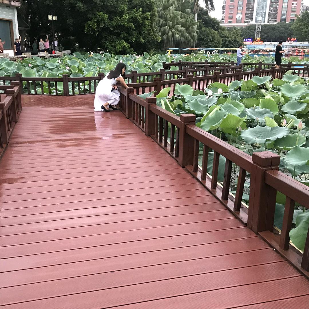 知足常乐