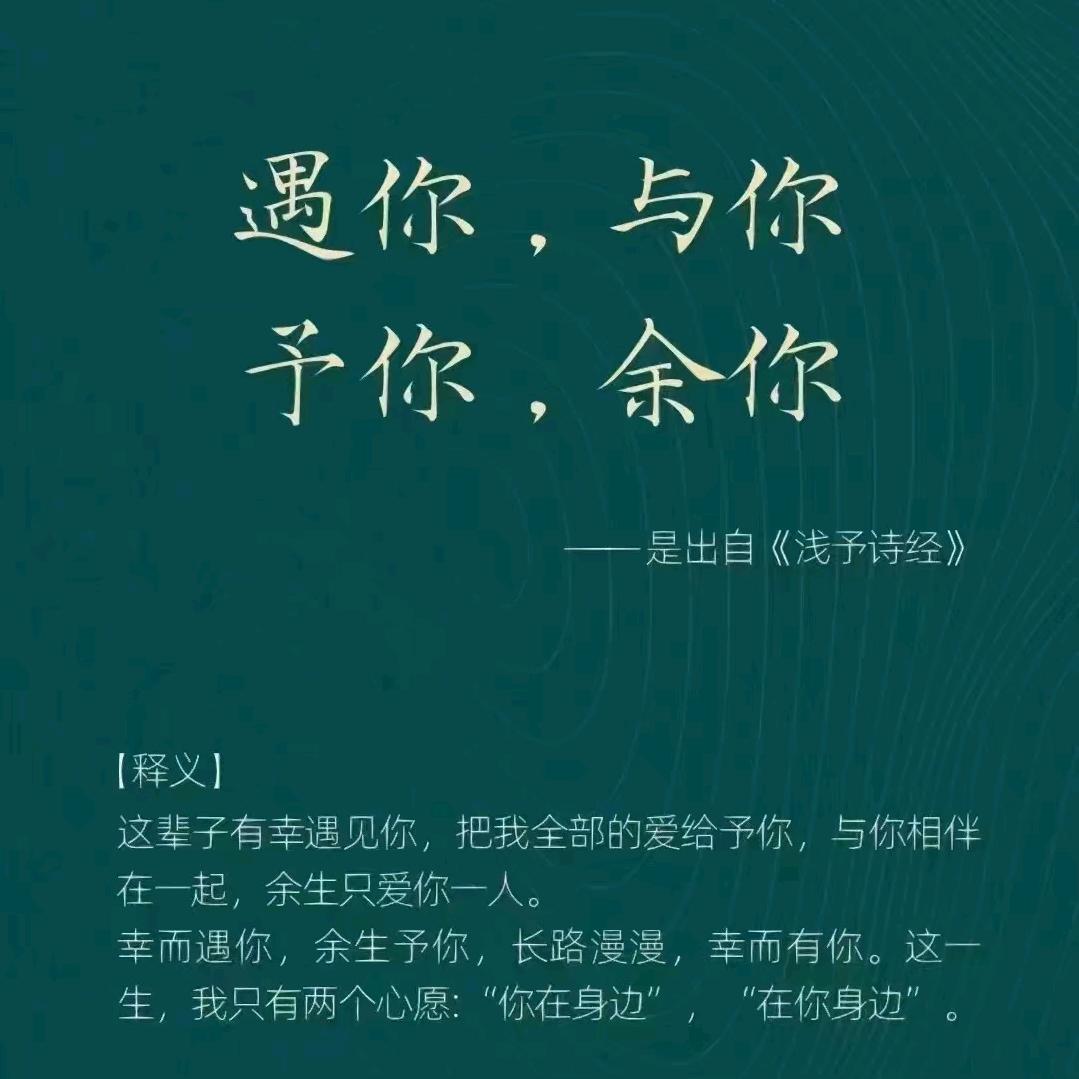 向阳行
