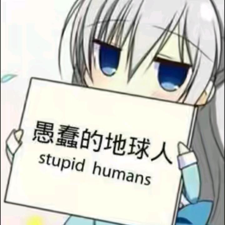 会喝呦呦奶茶的鲨鱼