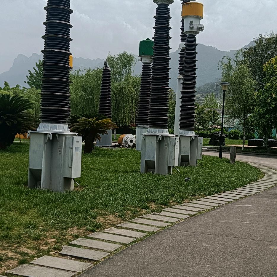 卖西瓜的（小岳岳）