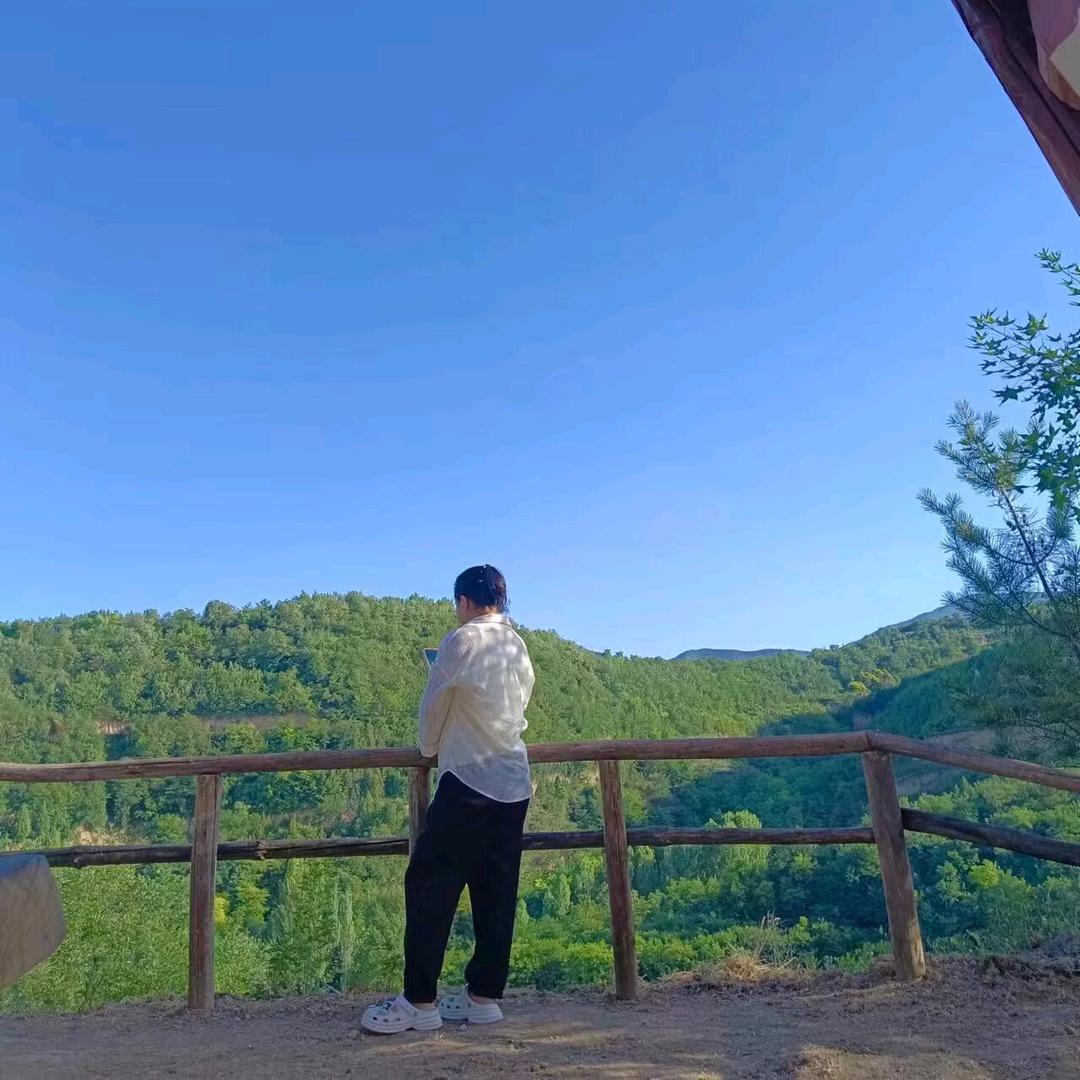 陕D31K10