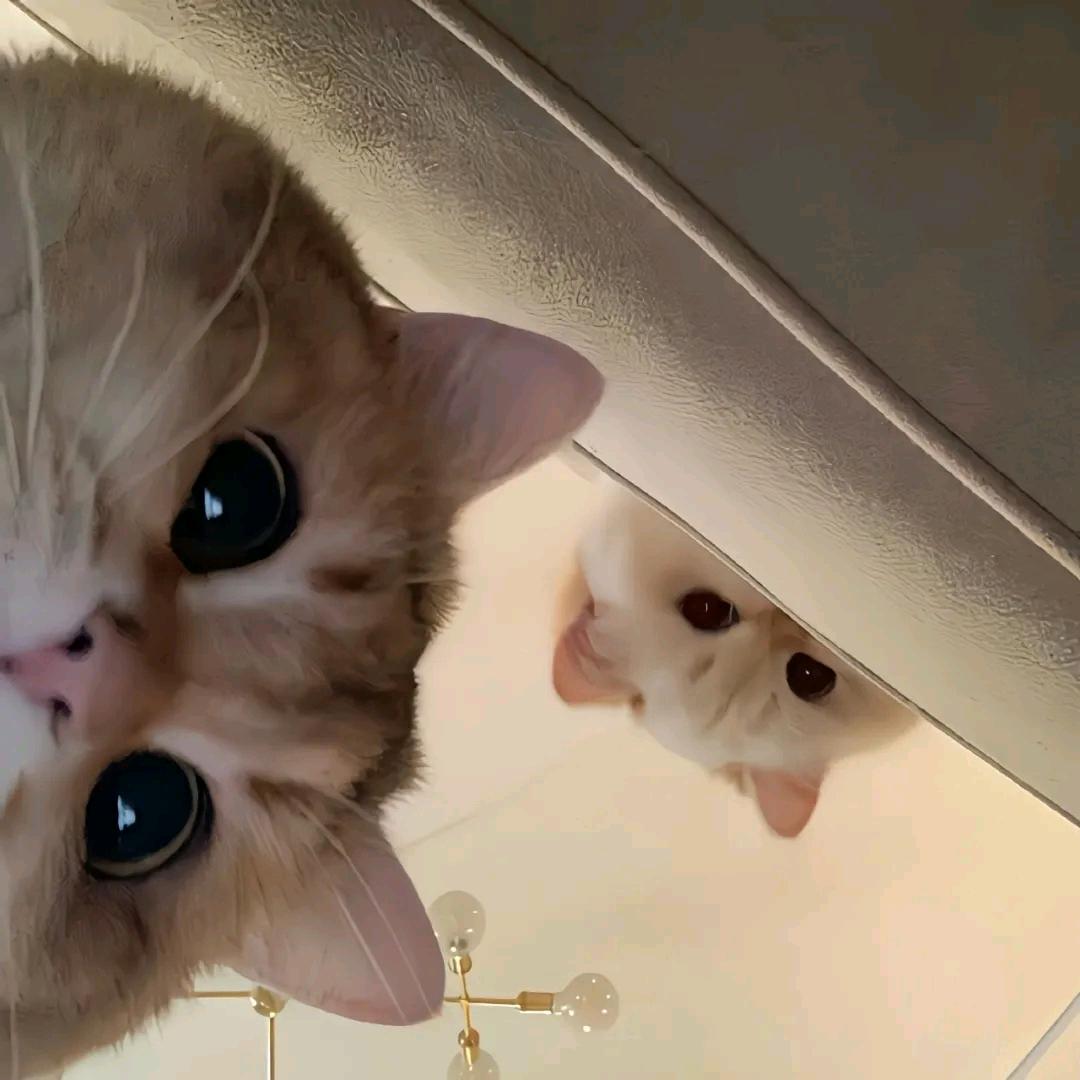 映影