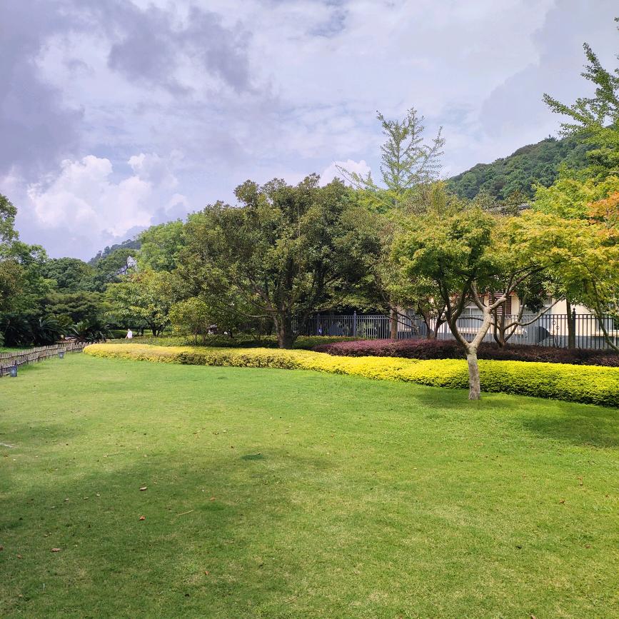 沙暖睡鸳鸯