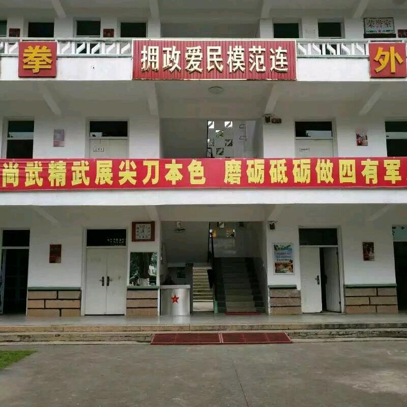 马路吸尘器DL