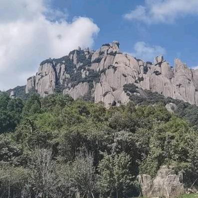 烤全羊，牛肉火锅