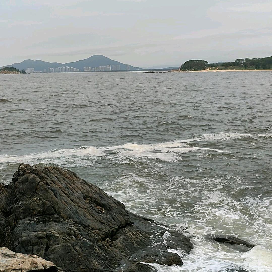 陈姐