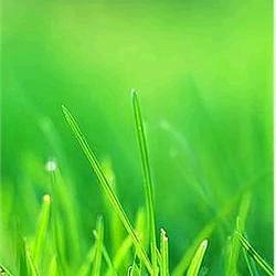 靳愉梅悦
