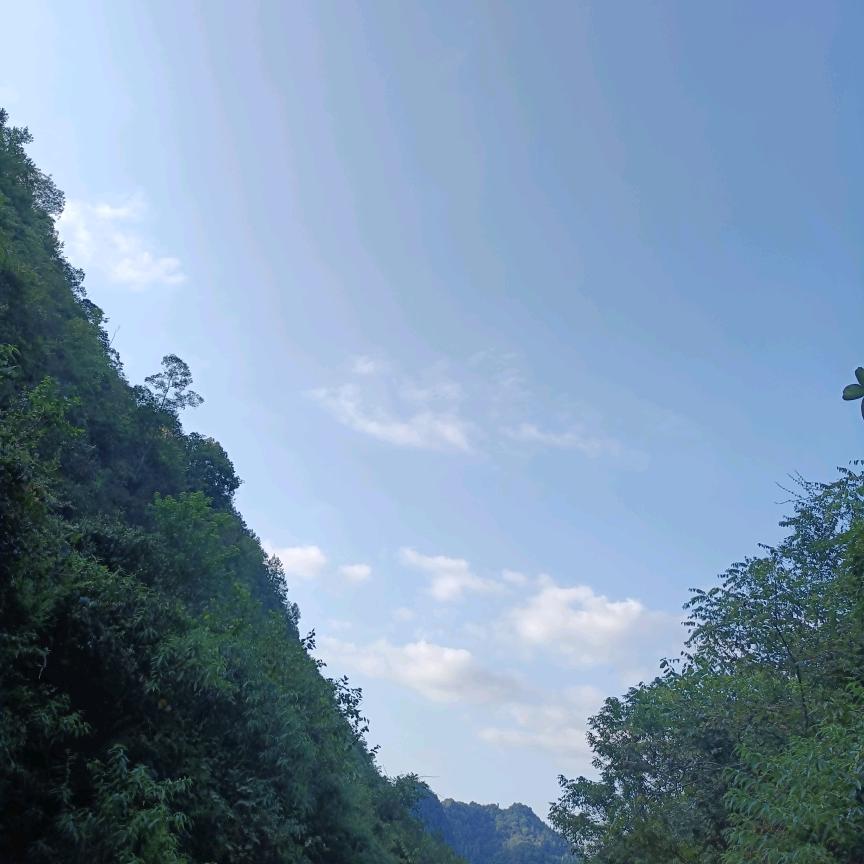 唐先生