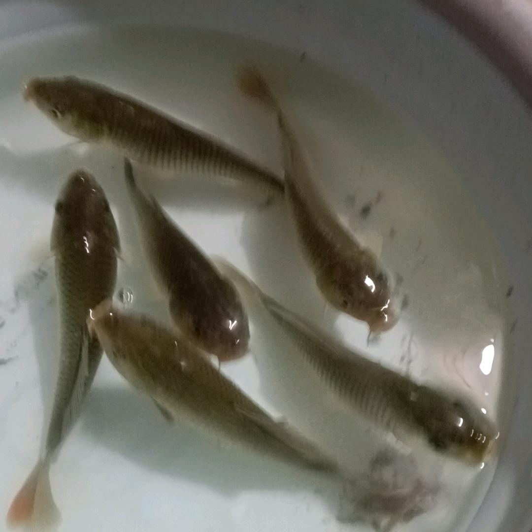 😘余生安好😘