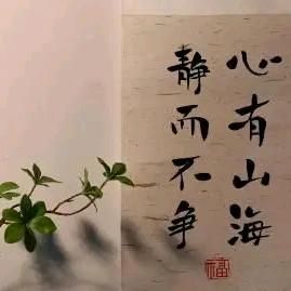 神采飞扬