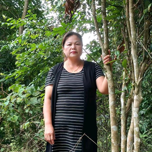 母女单丛茶