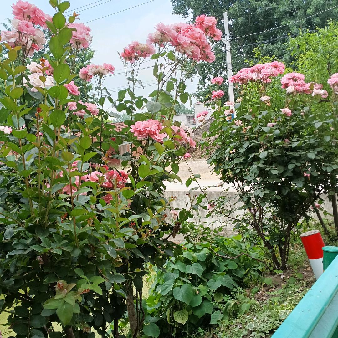 春水长天
