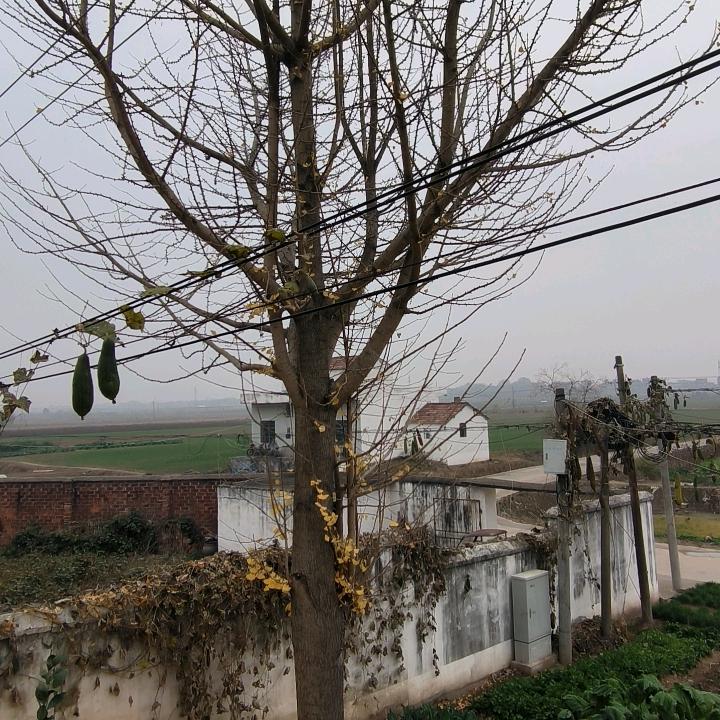 是我呀