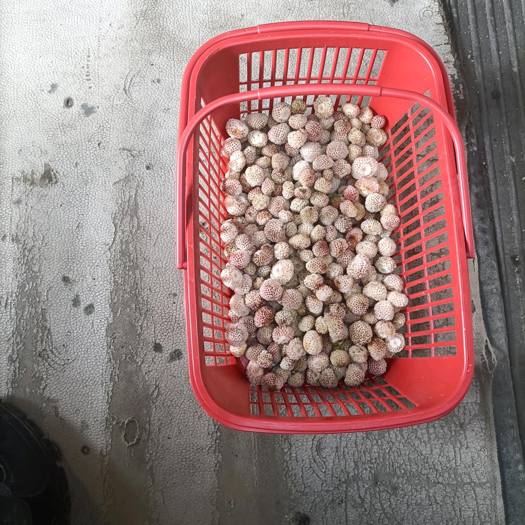 最后不过是相识一场