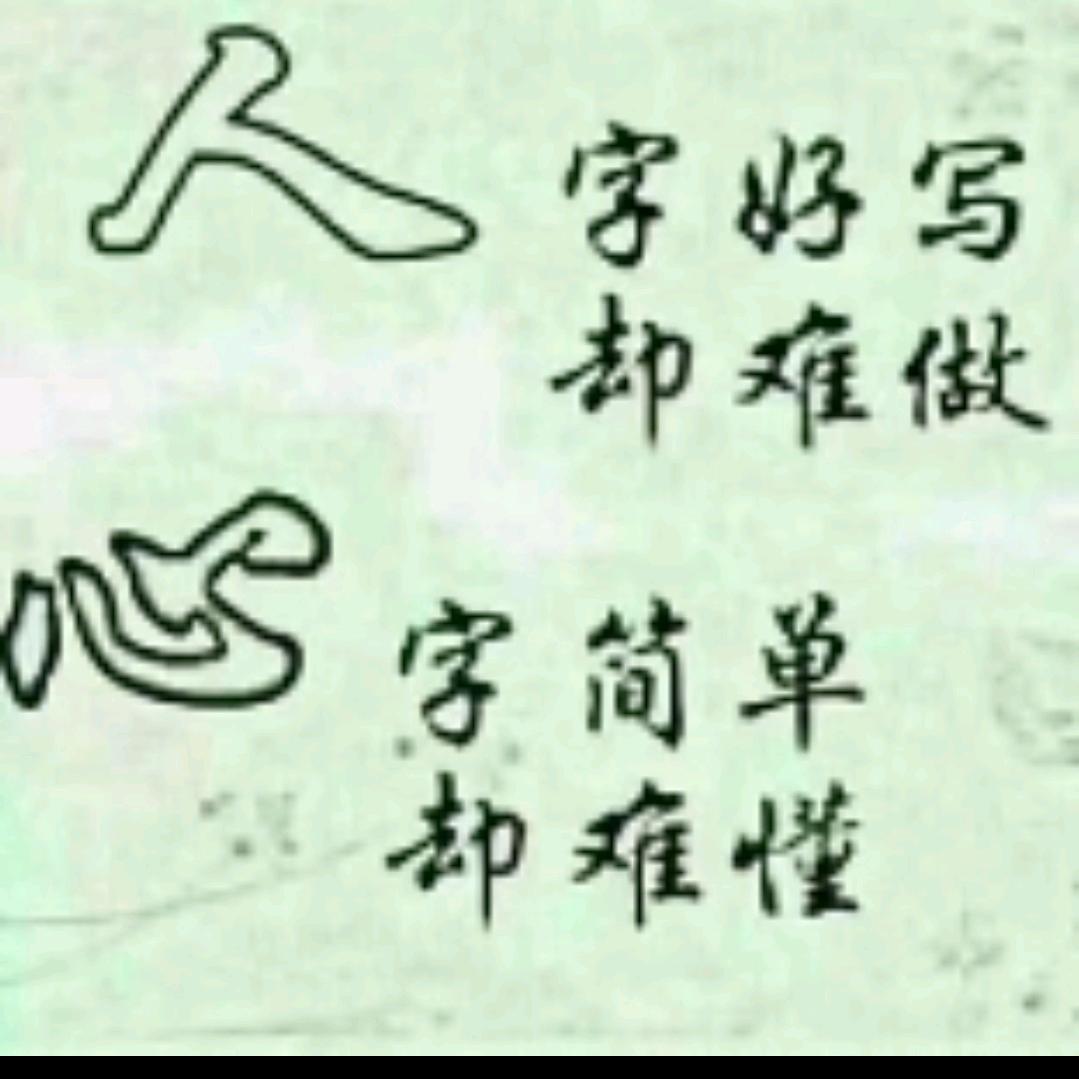 羊