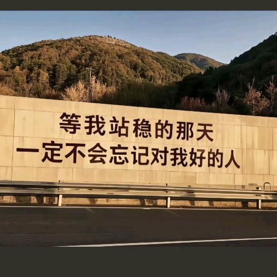 大风吹倒梧桐树