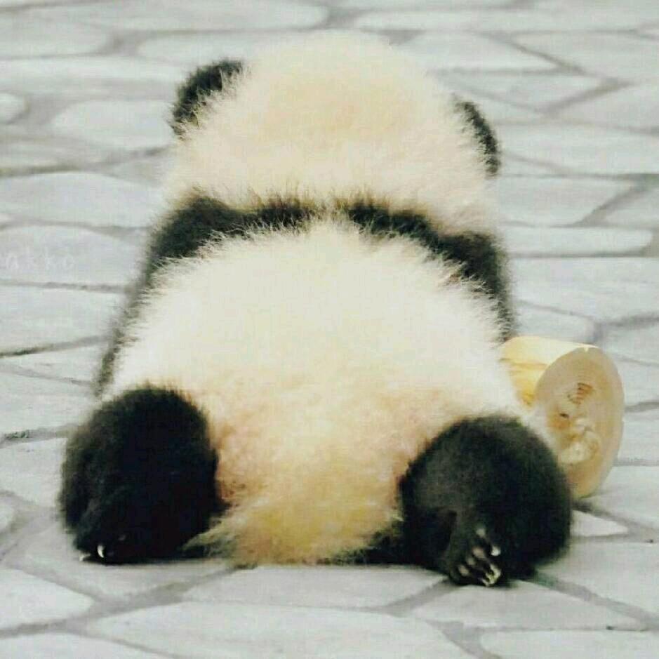 笑天