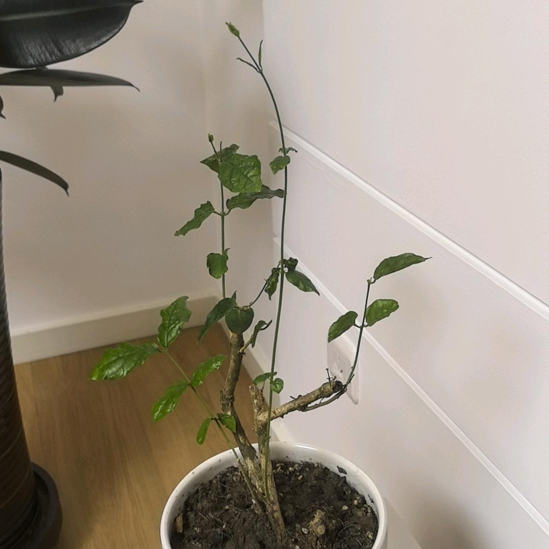 阳光明媚的好日子