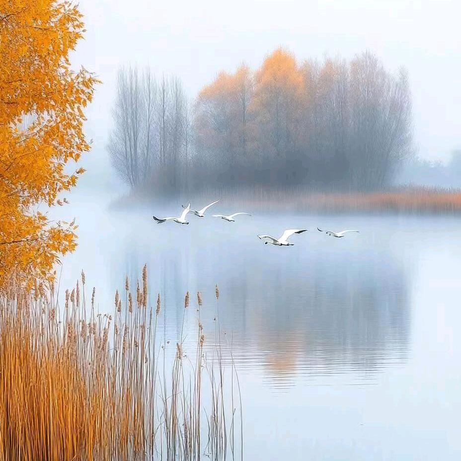 💕᭄ꦿ渐ོ࿆忘᭄💞