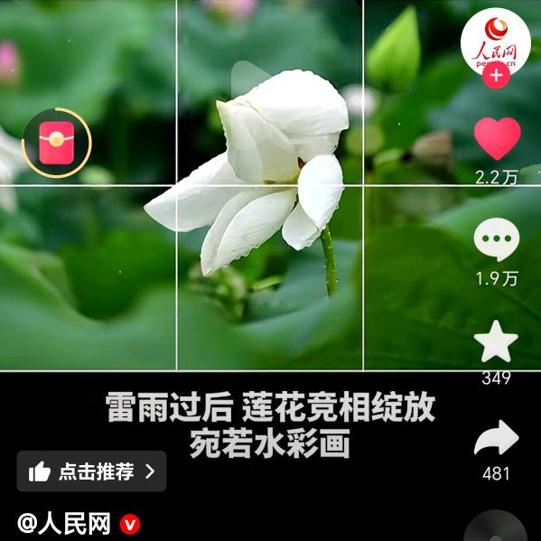 释然
