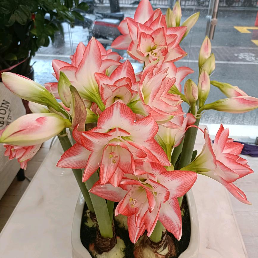 主要就是穷