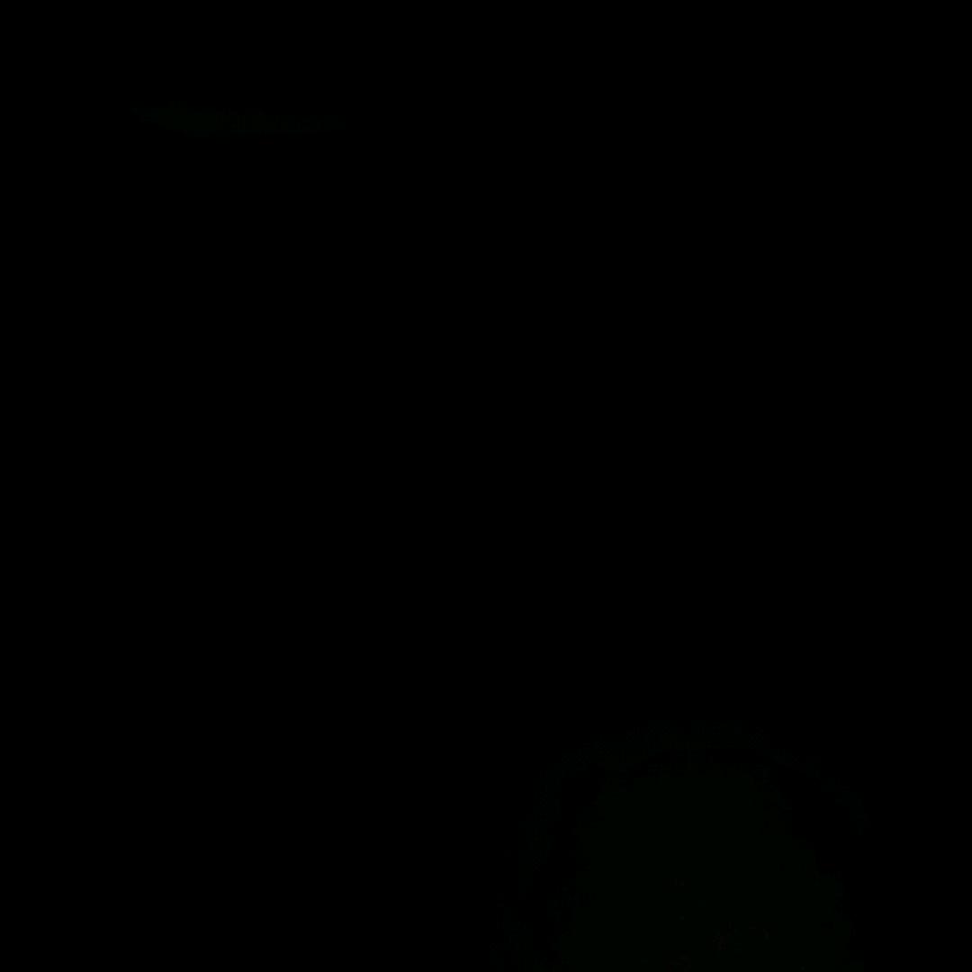 执念