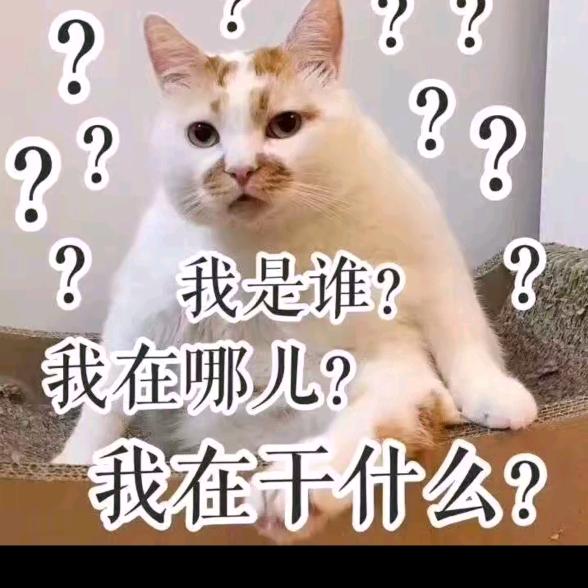 化风行万里