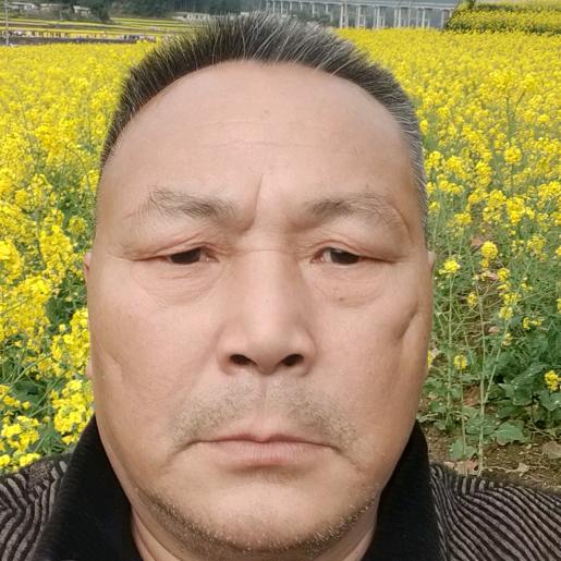 徐哥（晚上八点半）聊天主播