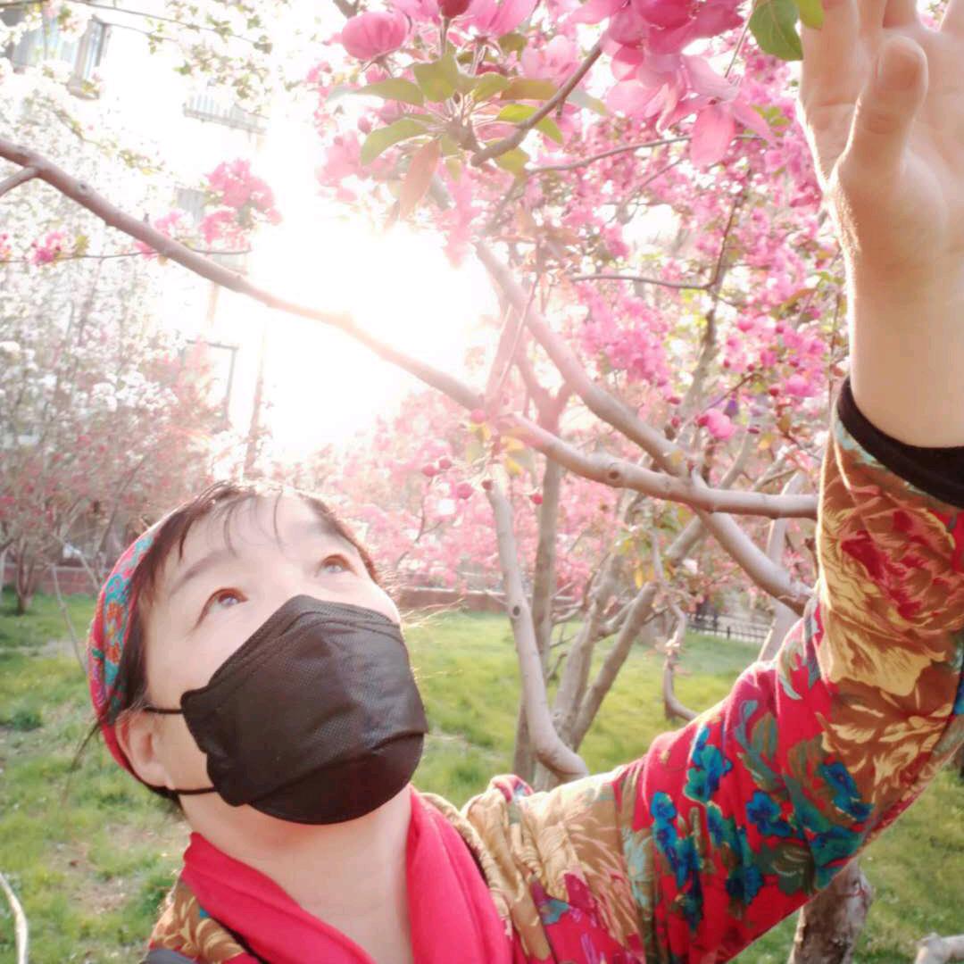 彩虹玉兔QQQ158188