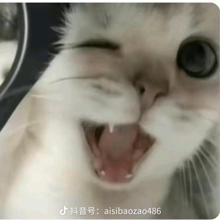 半夜三更去厕所调戏美艳蠕动的小奶蛆。