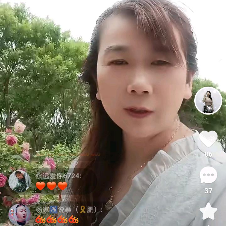雨中的红玫瑰我是陕西安康的