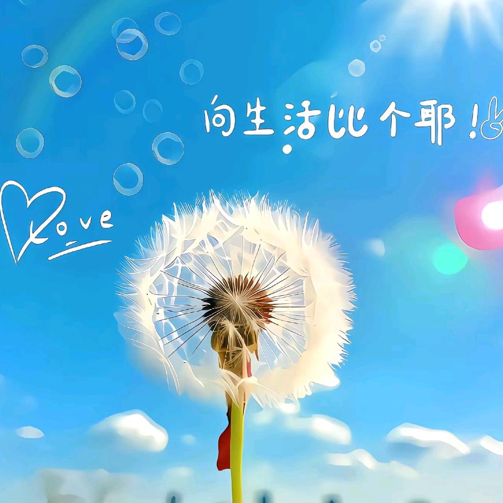 蒲公英。