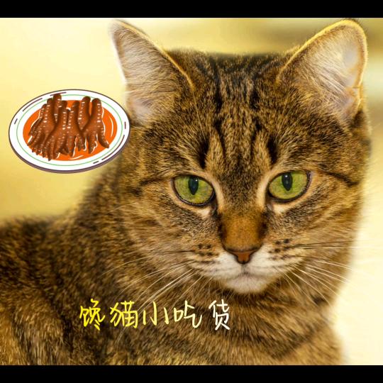 馋猫小吃货