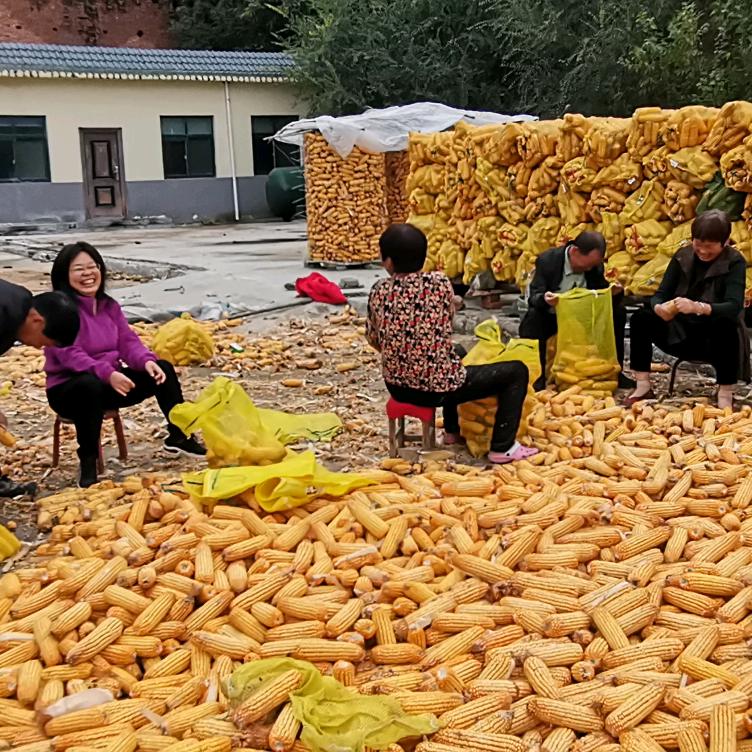 刘云波