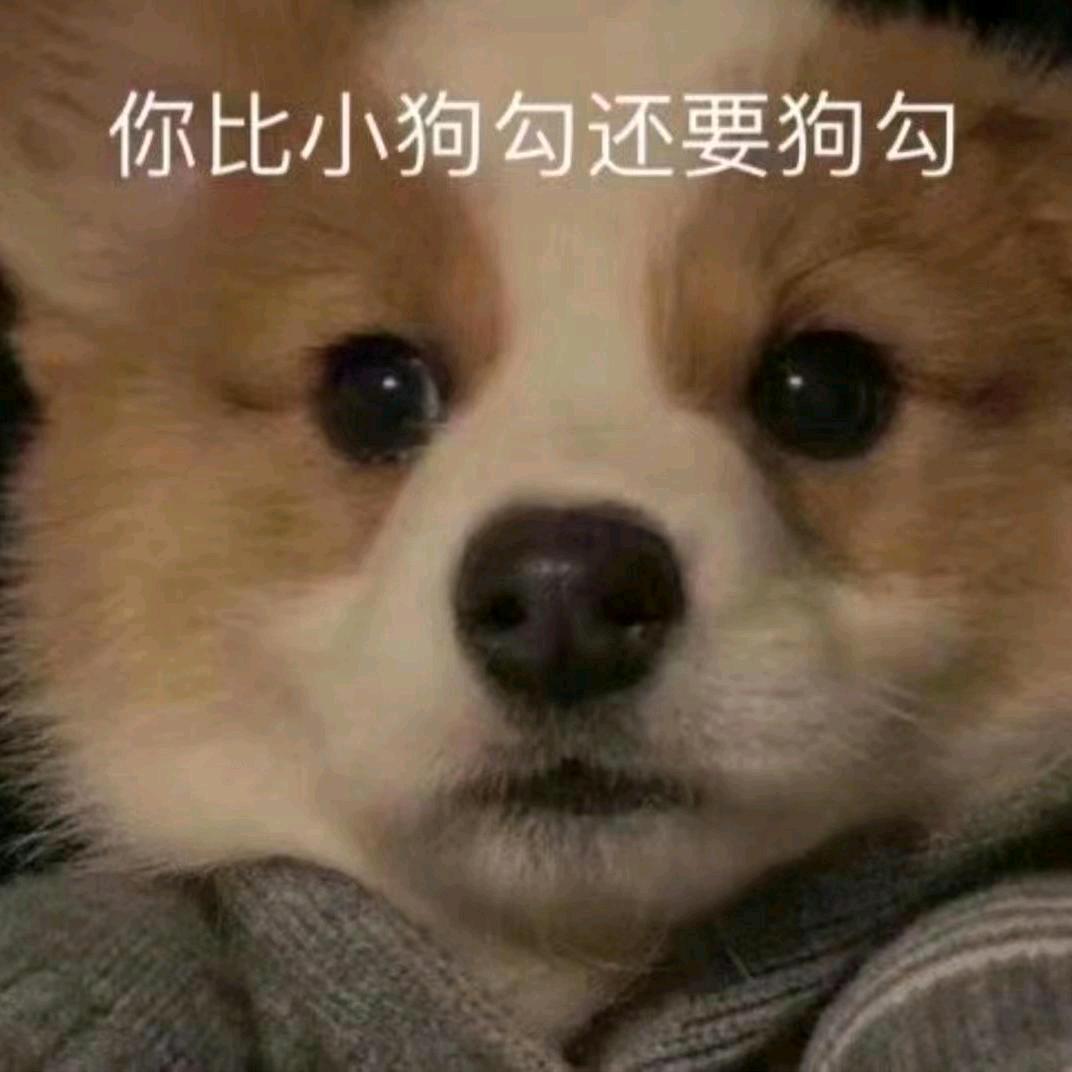 遗憾