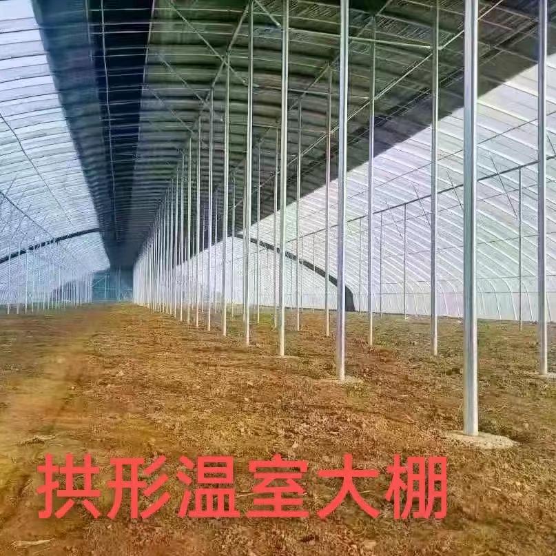 天津大棚管  董哥