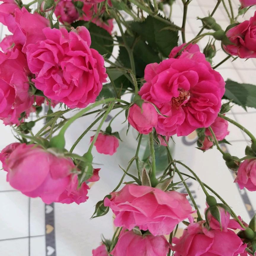 王海花